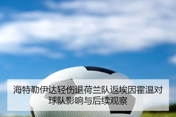 海特勒伊达轻伤退荷兰队返埃因霍温对球队影响与后续观察